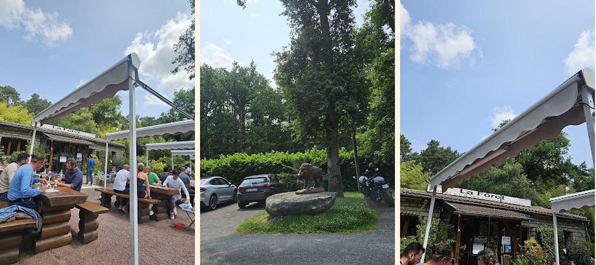 LA FORET - Gallery Image 2